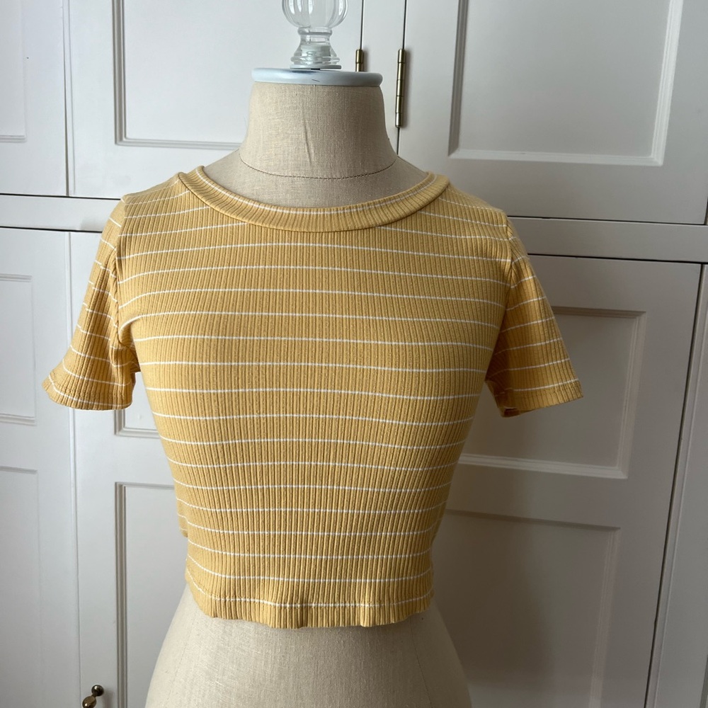 Audrey 3+1 Striped Crop Top | Size: Small